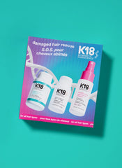 Damaged Hair Rescue Set